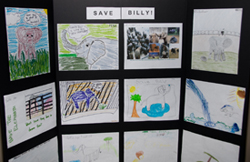 Children's Artwork